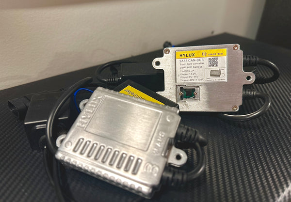 IMG_8446_600x600.jpg?v=1724023864